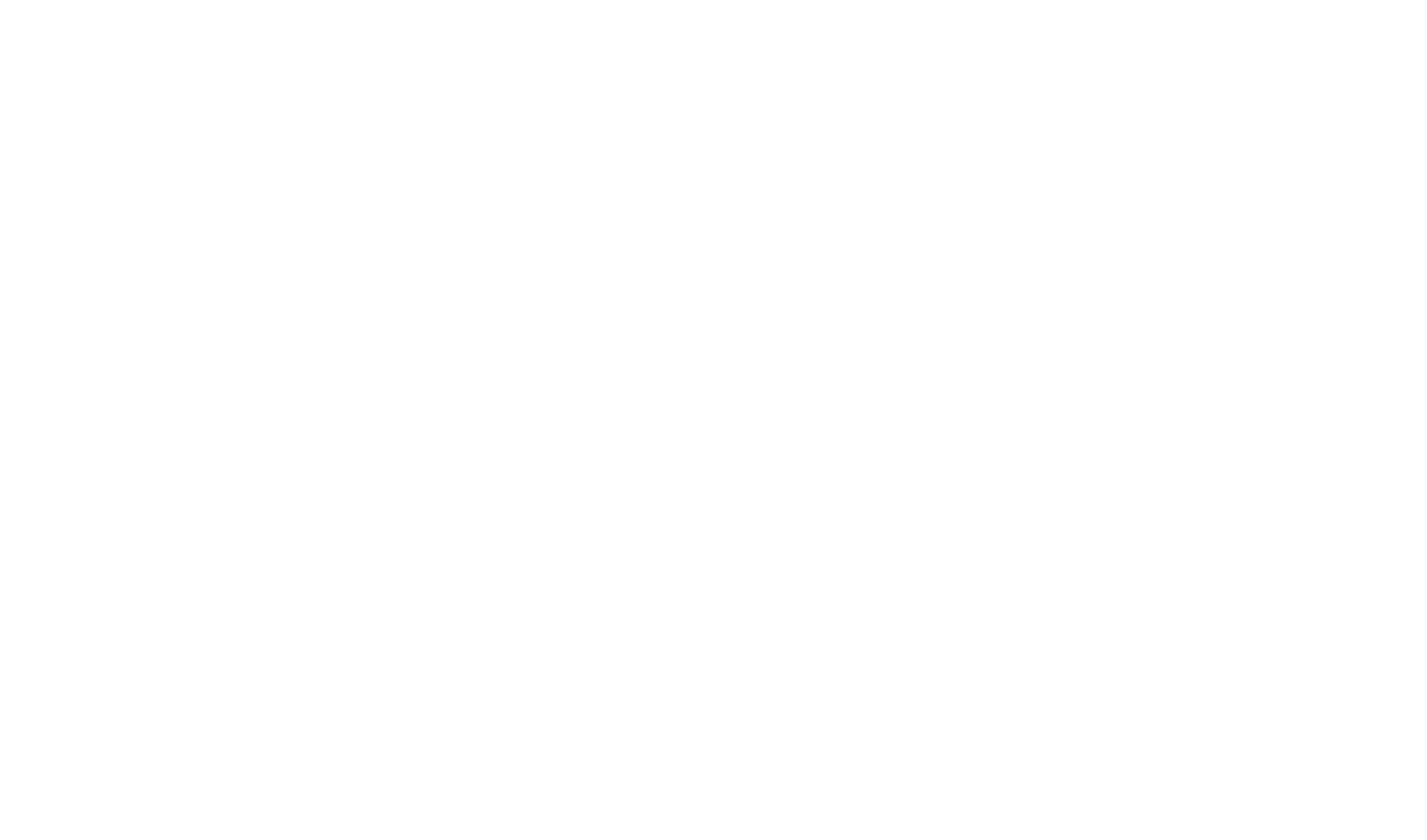 flag white icon.png