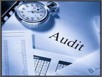 aidit audit